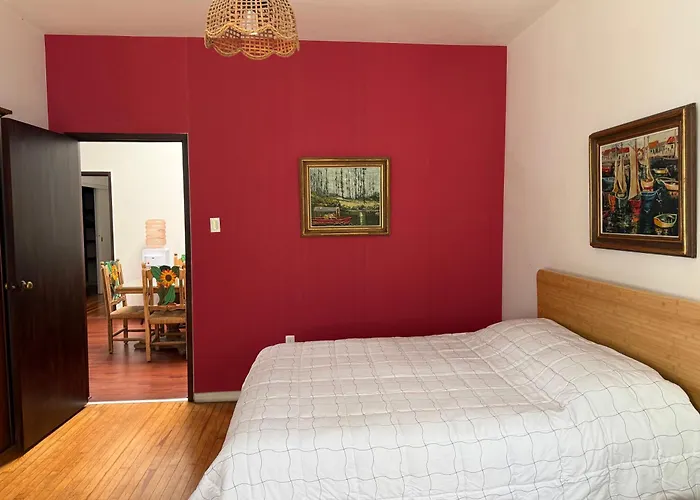 Homestay Napoles Clasico Mexico City